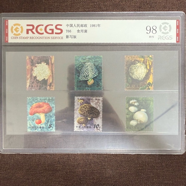 【总集邮票】1981 T66食用菌 中钱国信98分评级邮票