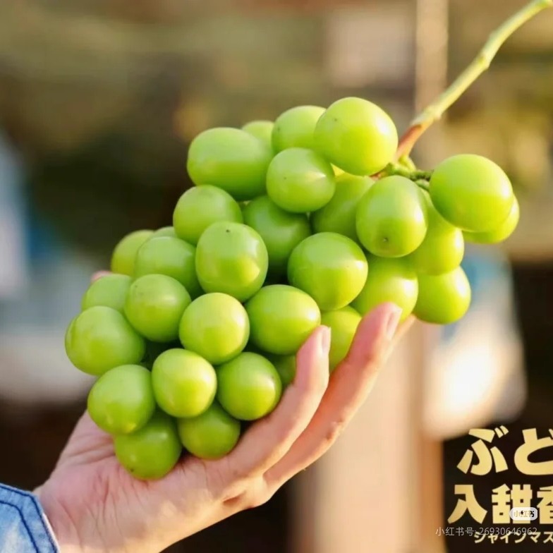 入甜香印晴王礼盒