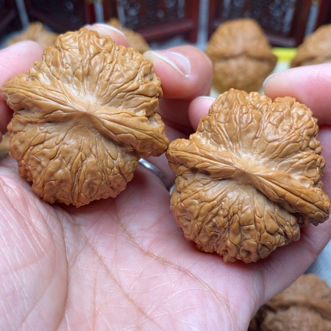 文玩核桃把件全品毕业大肚绝配天花板血麒麟42尺
