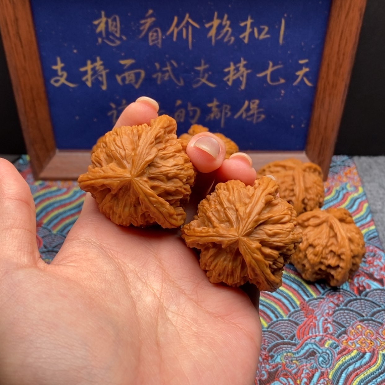 【闪购商品】小****心白狮