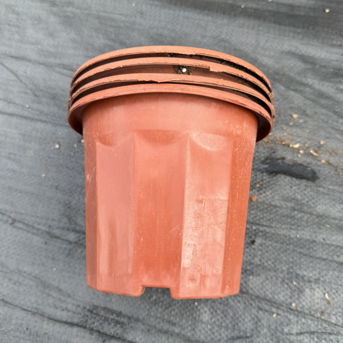 塑料 旧 花盆 红砖盆口径16高度13福利发20个