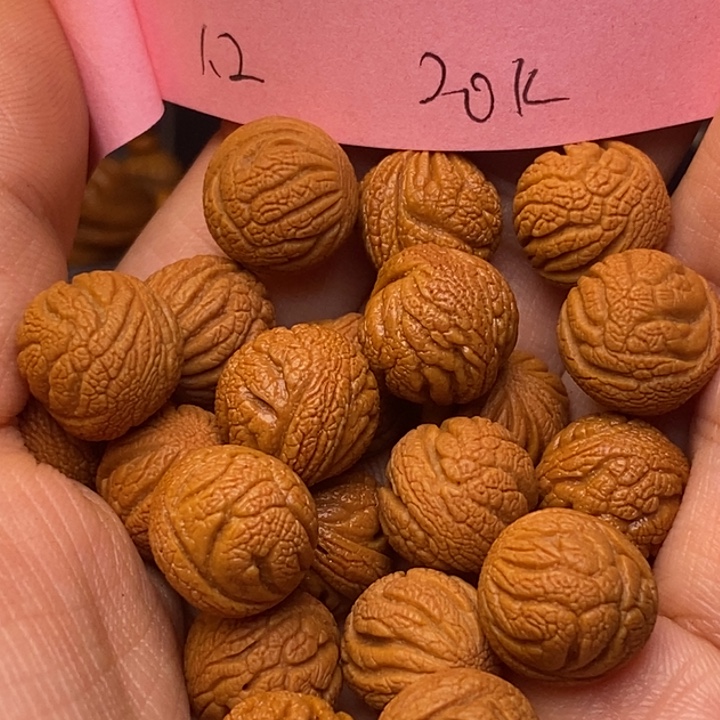 吊坠桃核秦岭龙纹12尺寸