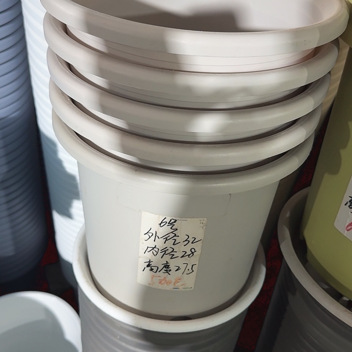 四季6#灰白5个无托