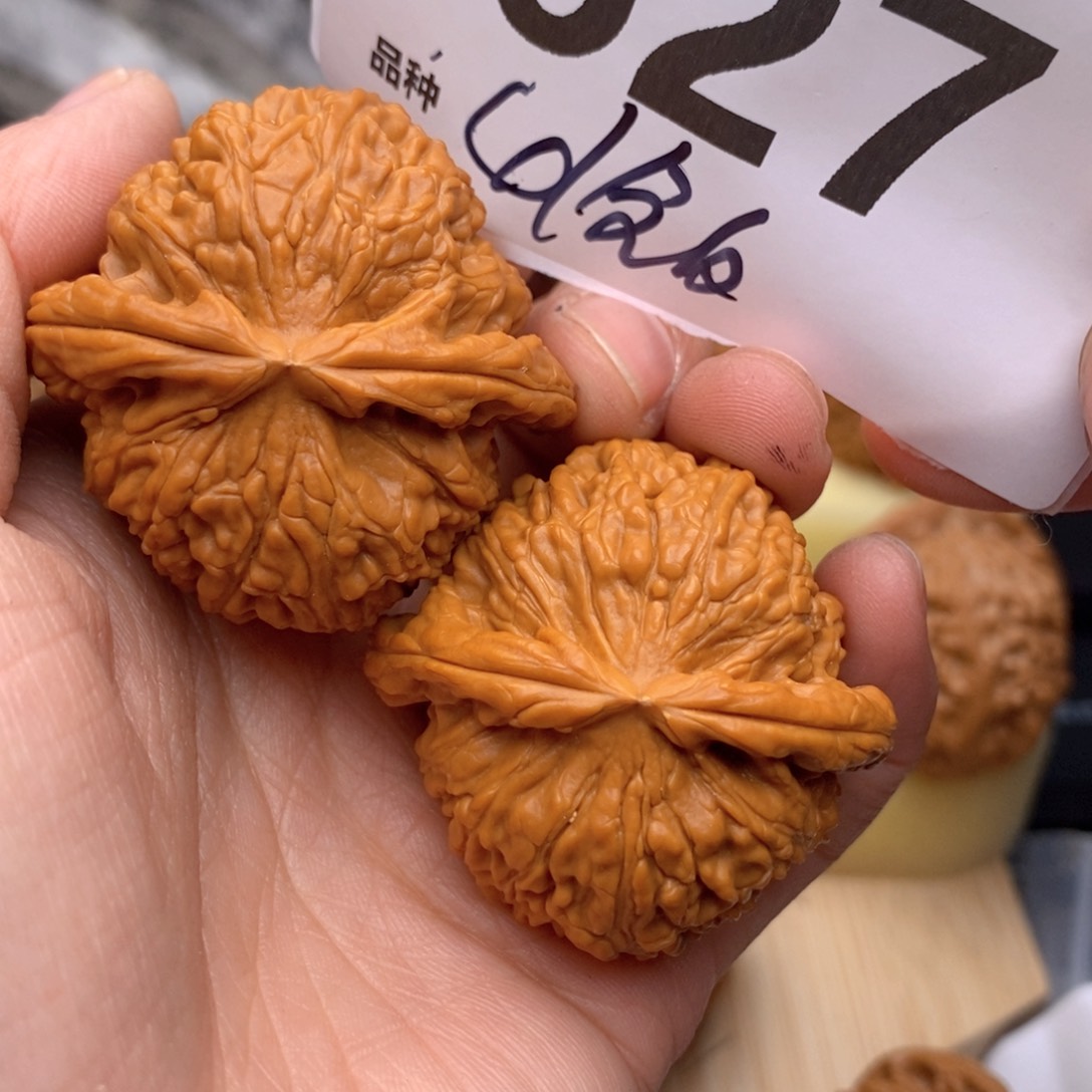 文玩核桃把件627号41全白