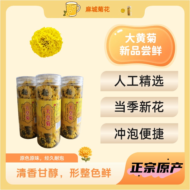 新花罐装大黄菊搭配组合熬夜必备清香菊花茶