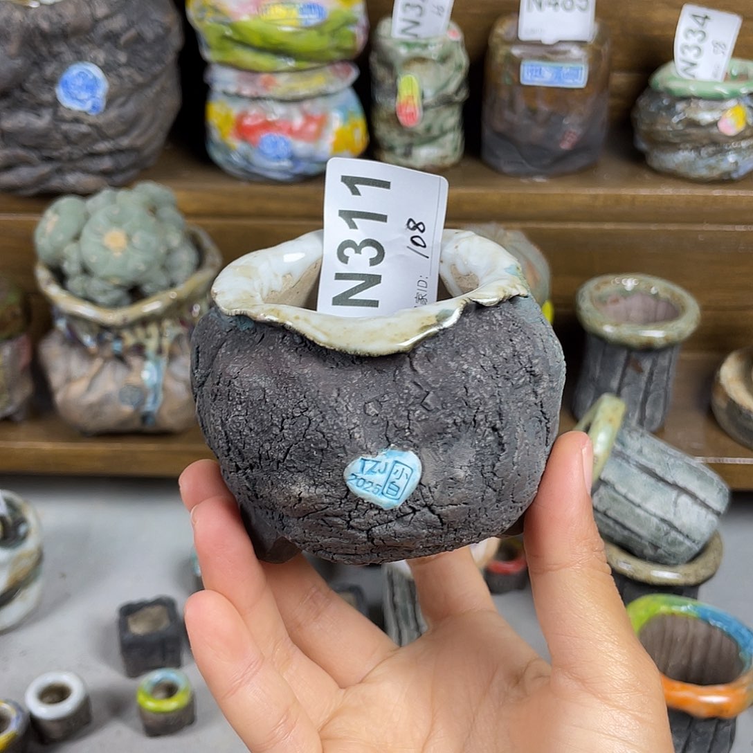 坛子姐花盆小白孤品 内口5百搭