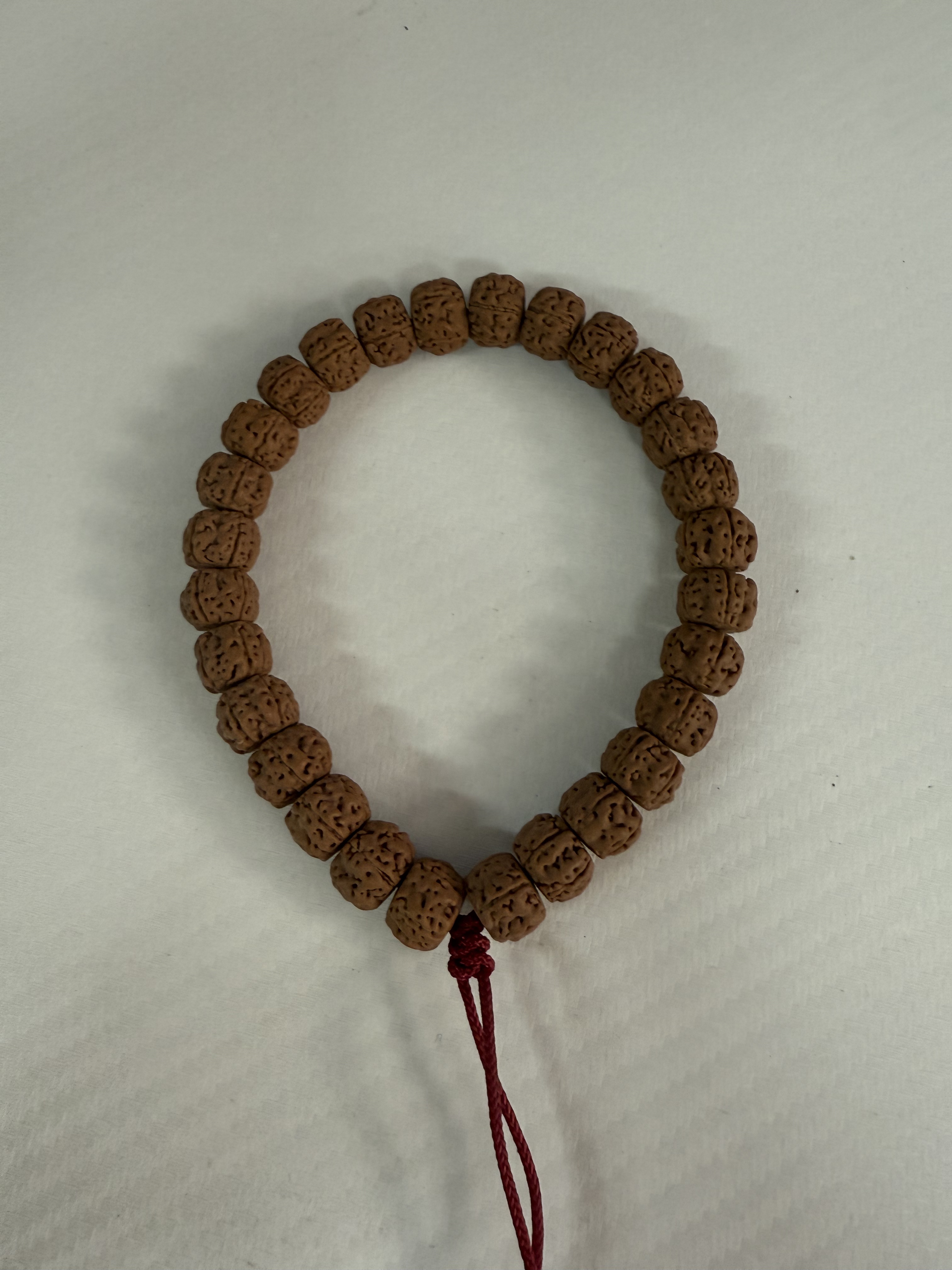 老盘龙小金刚菩提毕业单圈