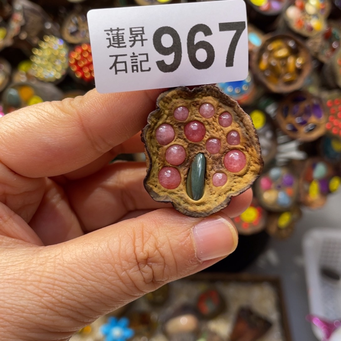 核桃木/黑胡桃（胡桃木）安****子967
