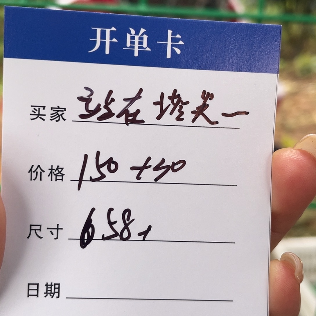 站***.非金属所见皆所得皆