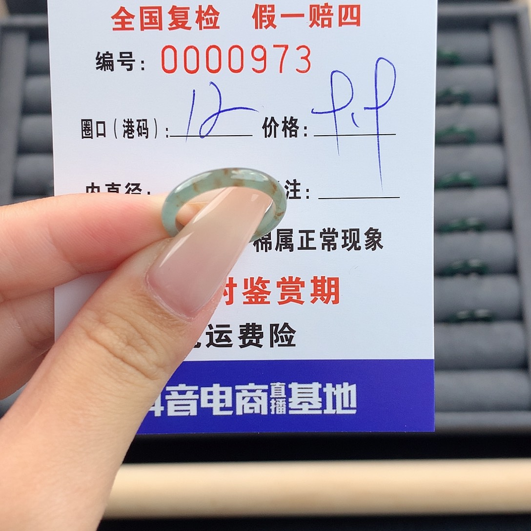 翡翠戒指未镶嵌       0973