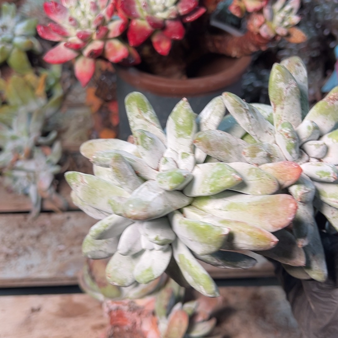 8781哈哈哈哈哈哈哈哈