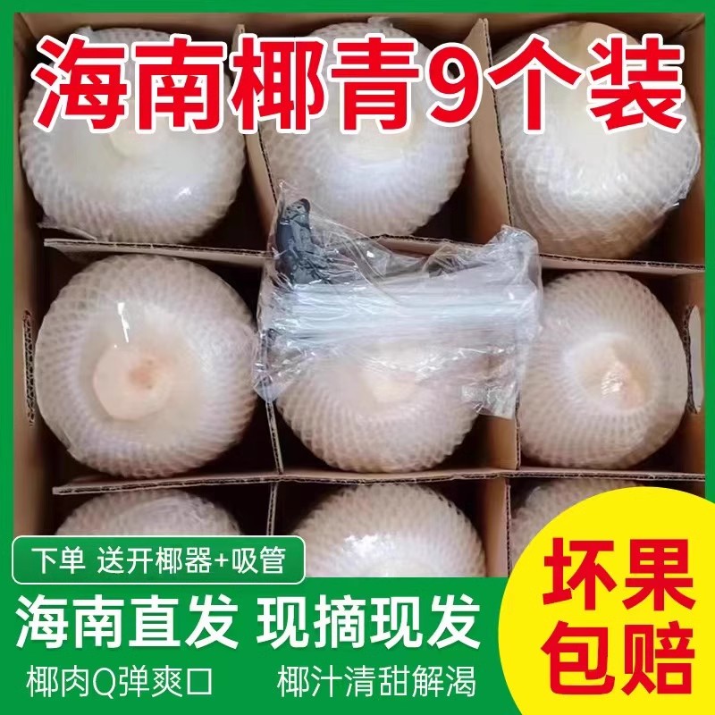 海南椰青新鲜椰子9个装当季孕妇水果椰皇去皮椰子整箱包邮