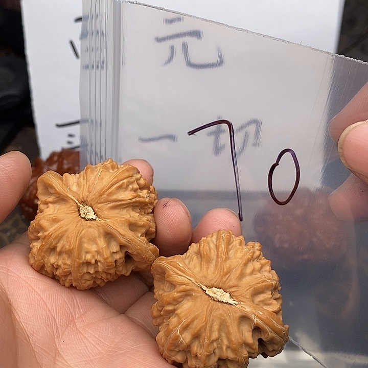 吊坠文玩核桃上课上课了热搜了上课的老师