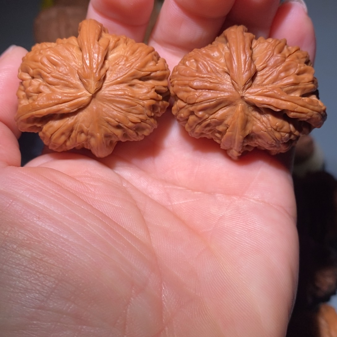 文玩核桃吊坠44白狮子异形