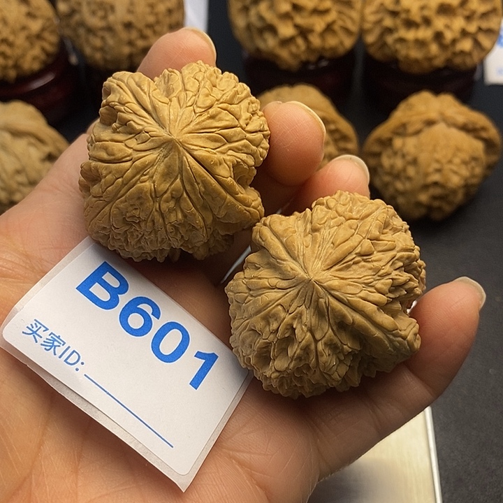 A***渊核桃暴雪4:0，00000