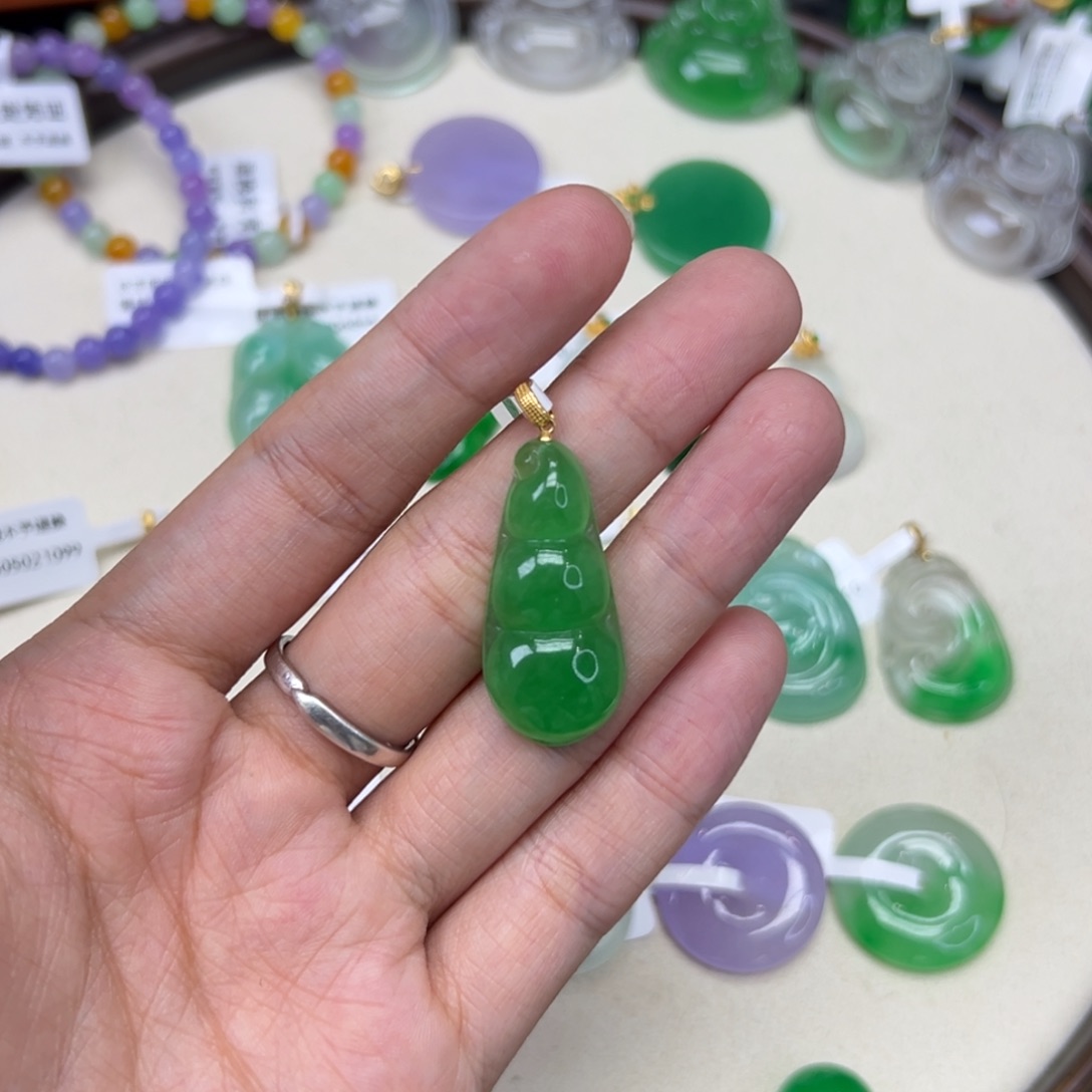 玖***宝福豆直播链接编号w1053
