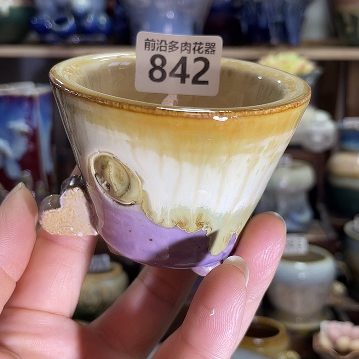 狼盆内口径6高度6
