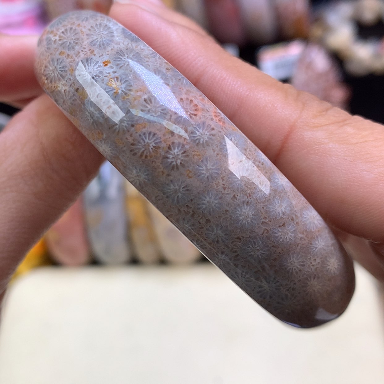 【闪购商品】颈饰未镶嵌硅化珊瑚（珊瑚玉）28号美59.6圈