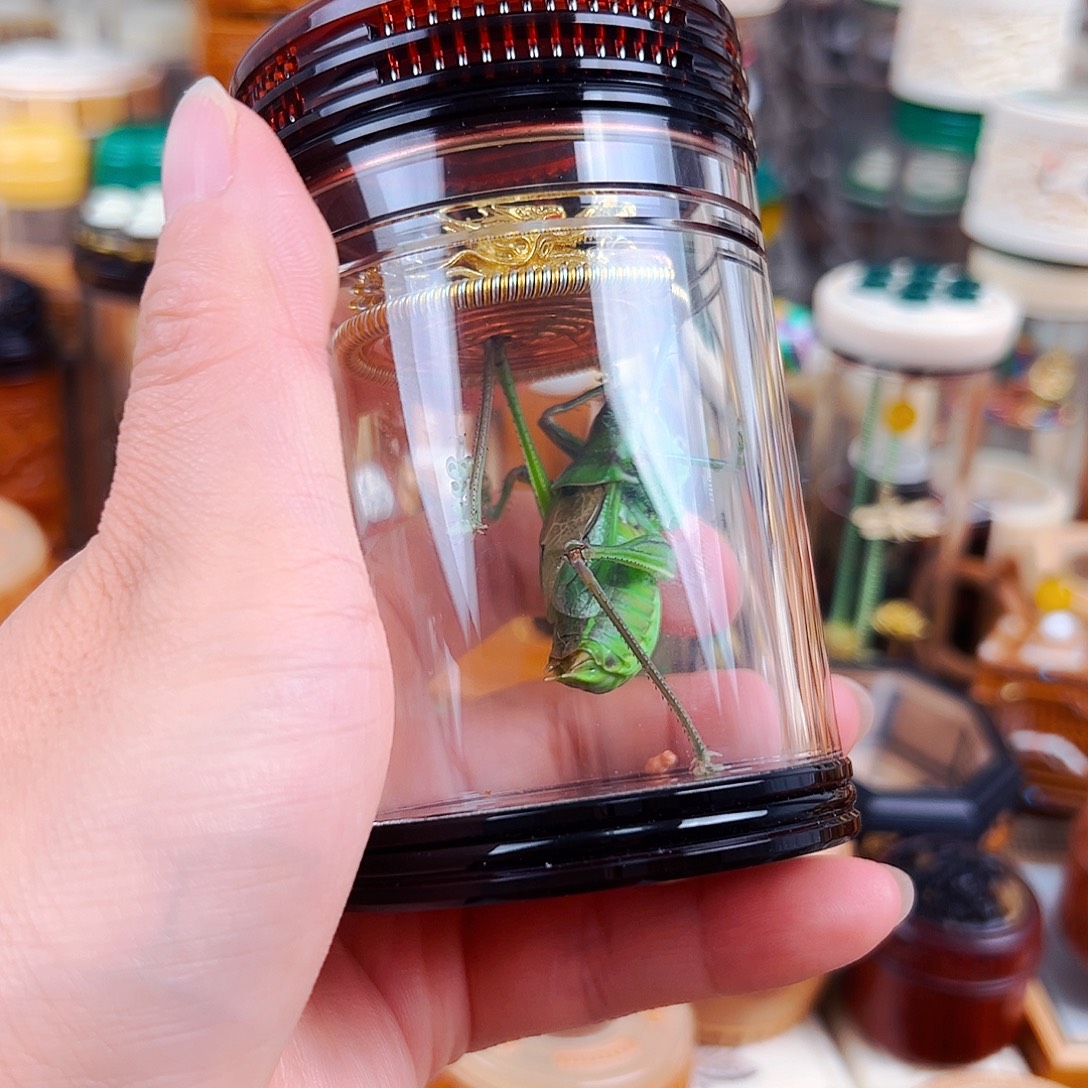 茶色蝈蝈罐一套配绿蝈蝈