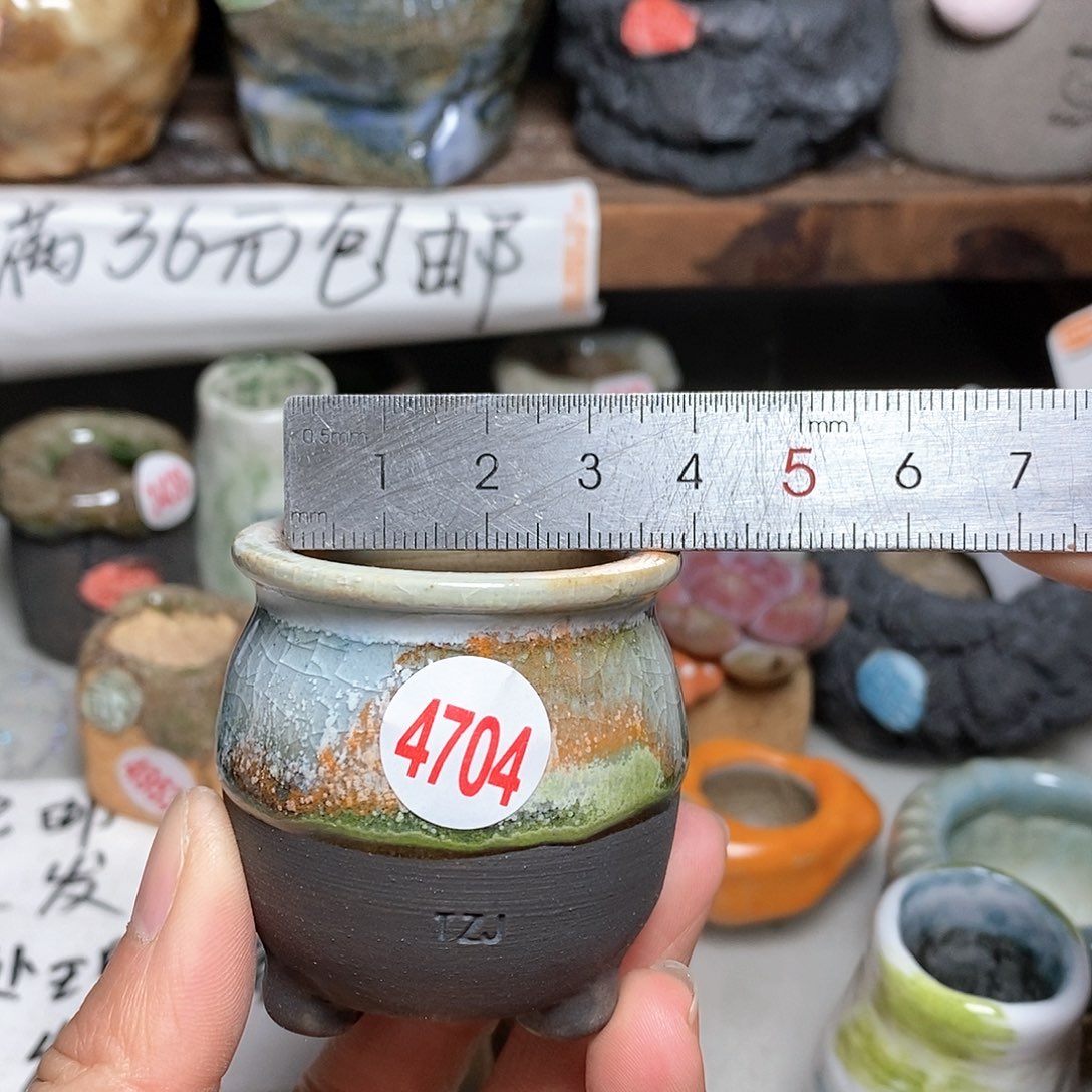 红陶拍5送一个小