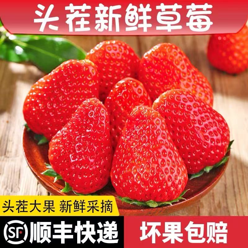 【顺丰次日达】新鲜采摘草莓香甜可口现摘现发江苏省草莓江苏省