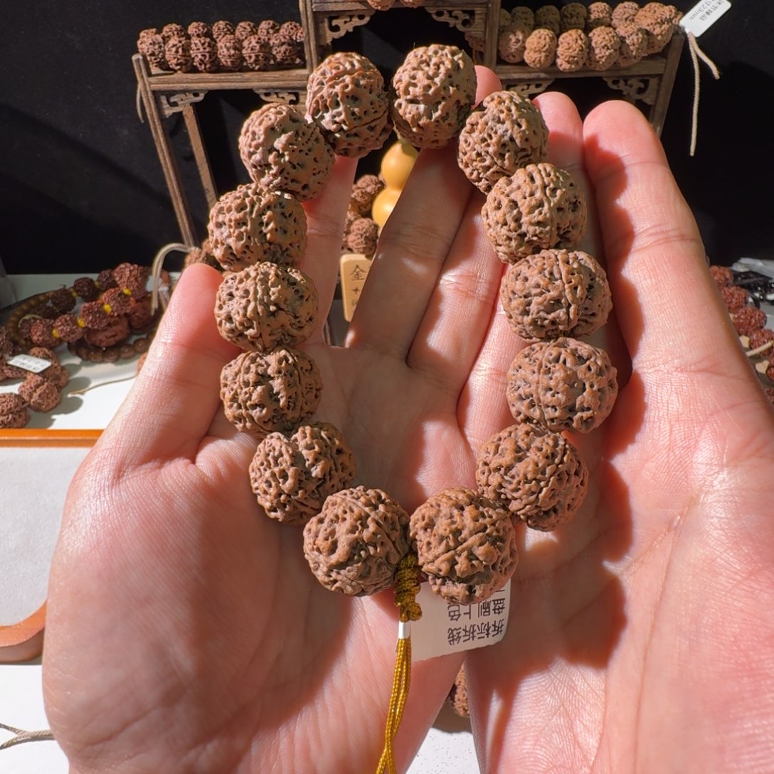 手串金刚菩提23尺寸蜂王