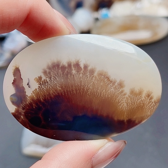 未镶嵌玛瑙/玉髓珠宝奇石