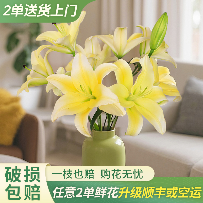 【大聪明卖花】特价黄天霸百合 任意两单鲜花升级快递-元旦福利