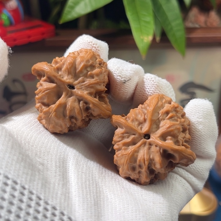 文玩核桃吊坠野狼