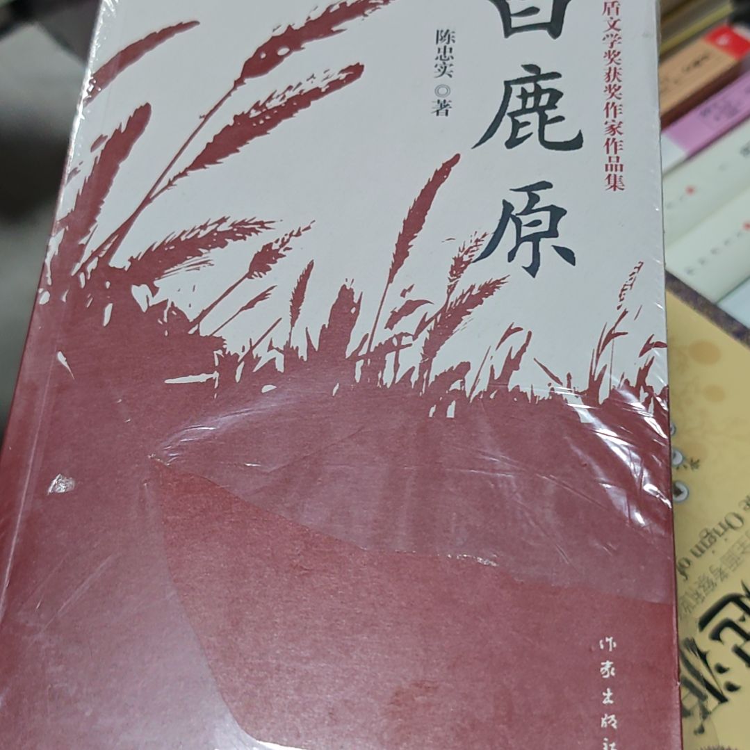 白鹿原平装库存书微瑕介意勿拍