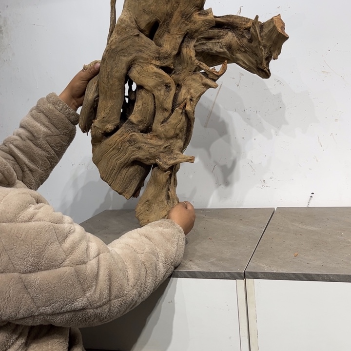 渊***吟柏木崖柏等自然资源和生态资源丰富