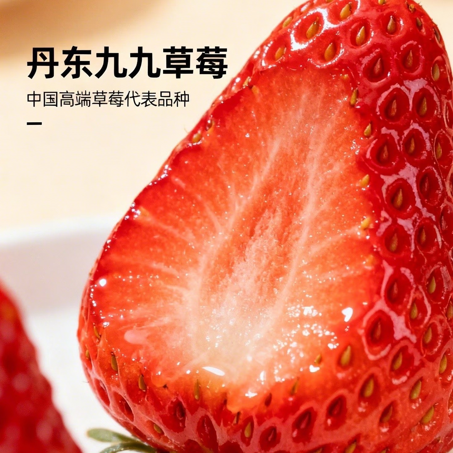 丹东九九草莓【果王】新鲜采摘当季水果辽宁省