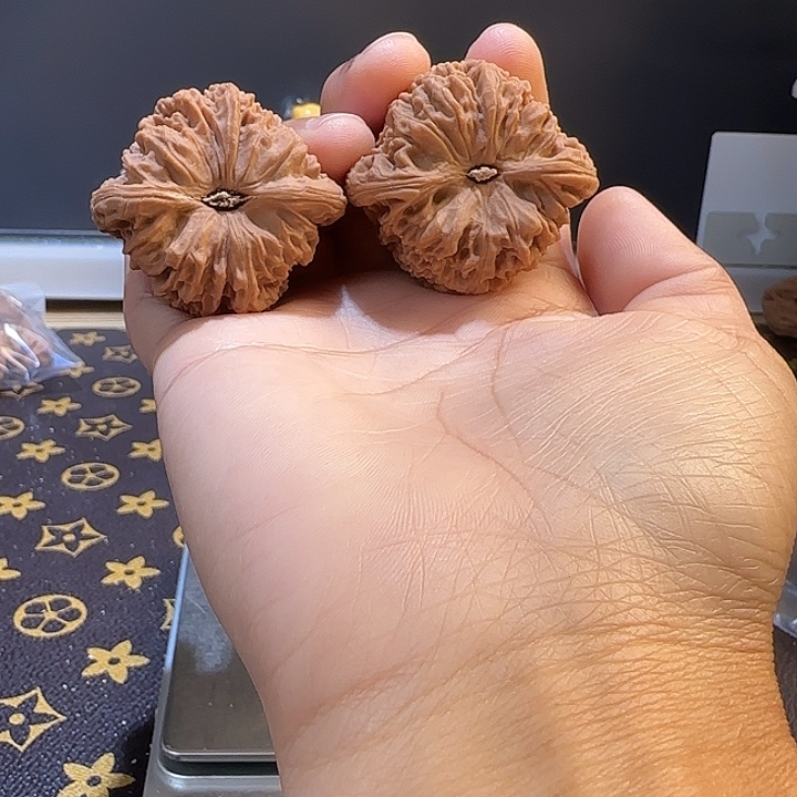 *****桃核吊坠核桃核桃