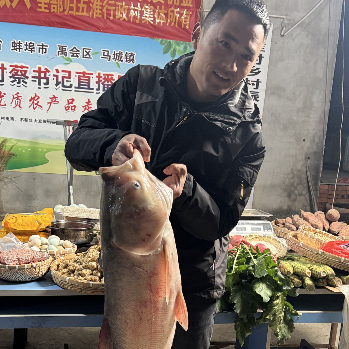 五淮村非养殖胖头鱼