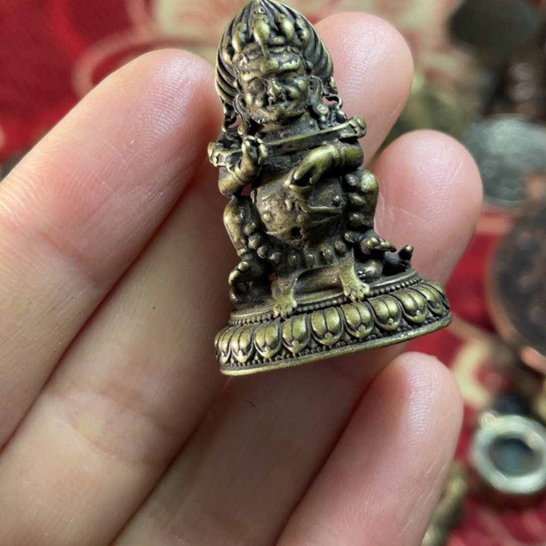 哈哈哈哈哈哈哈哈