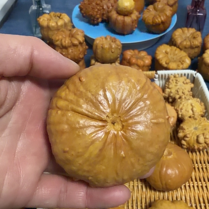 Y***Y墨西哥七彩疙瘩葫芦瑕疵不退货