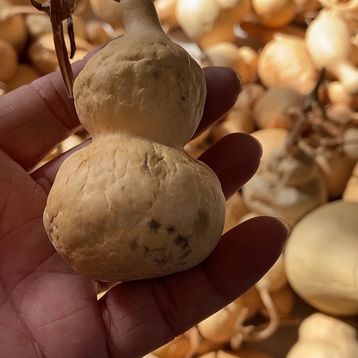 fui h g h h hu uu