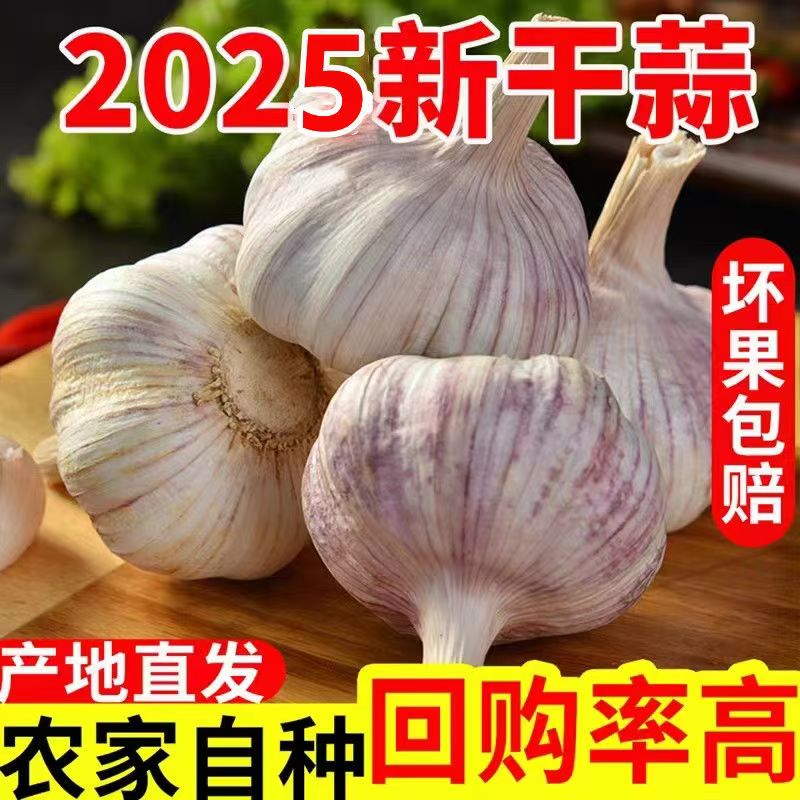 【金乡大蒜】2025年新干蒜紫白皮大蒜头批发新大蒜紫白皮蒜头