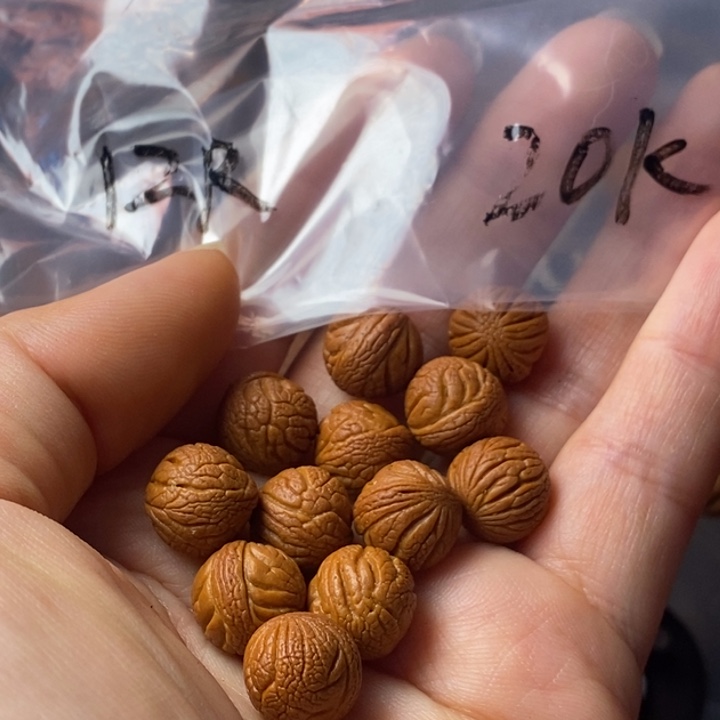 手串文玩核桃秦岭野生龙纹桃核12