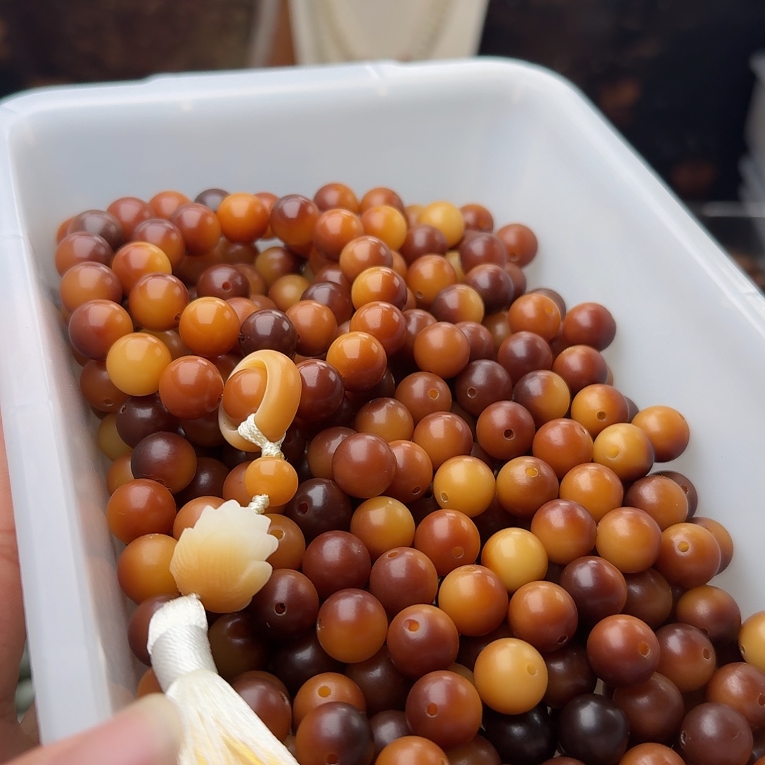 吊坠菩提根/象牙果50 颗油膏可可 12 圆