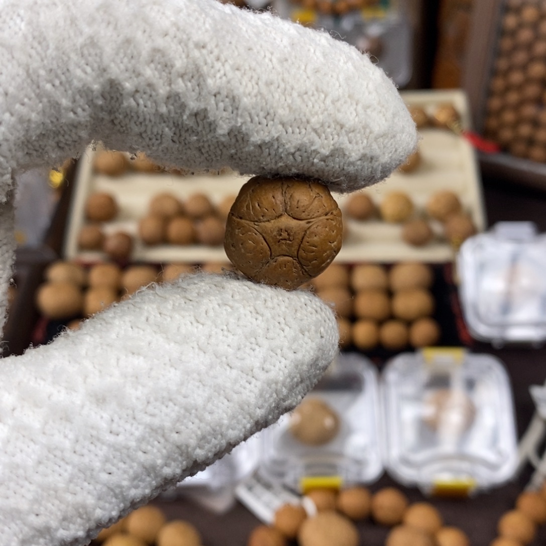 凤眼菩提吊坠18.3五星单颗