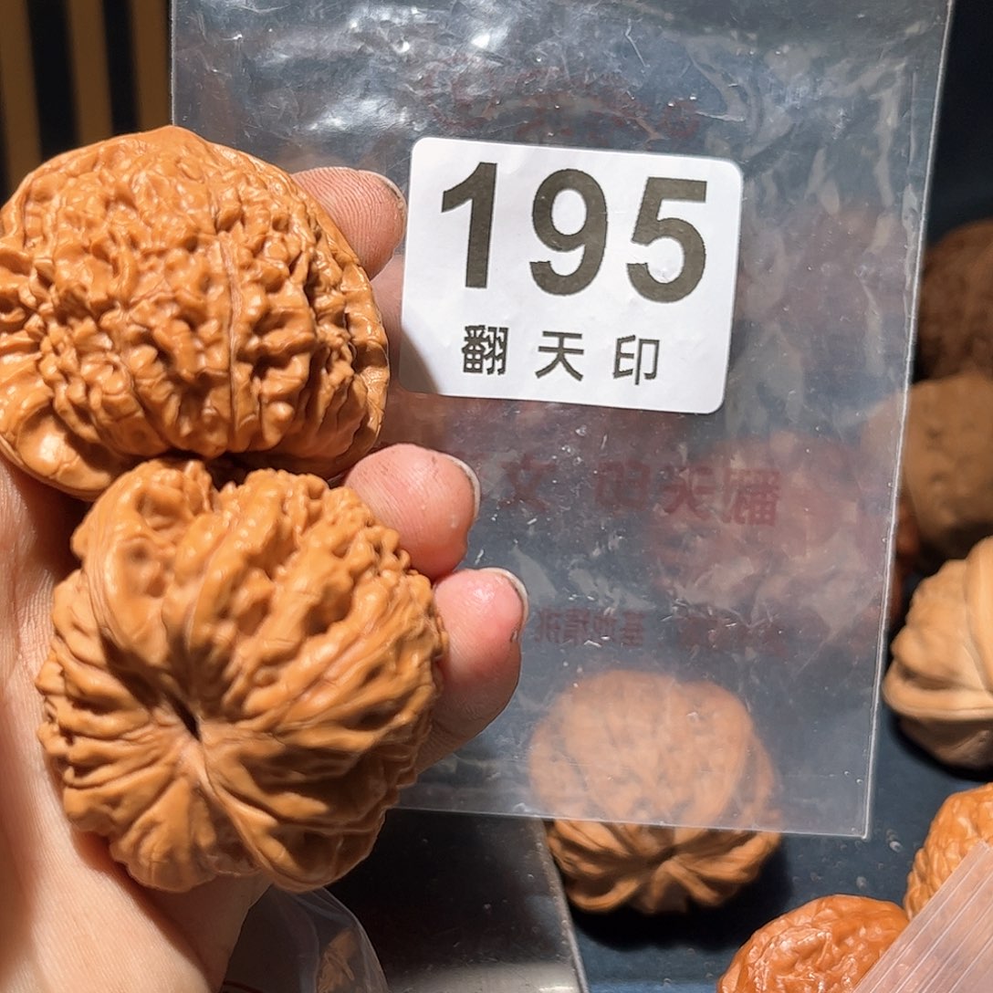 核桃手串/手链官帽