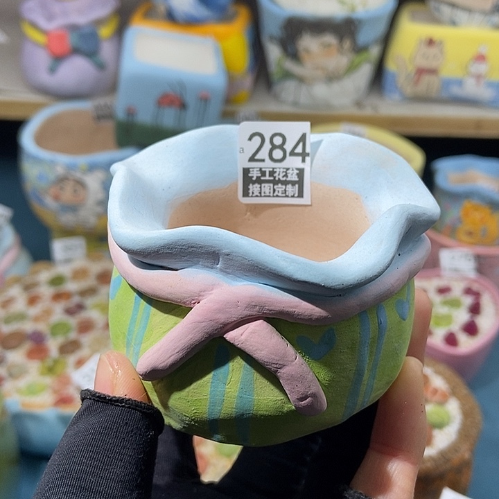 大舅生石花肉锥多肉284