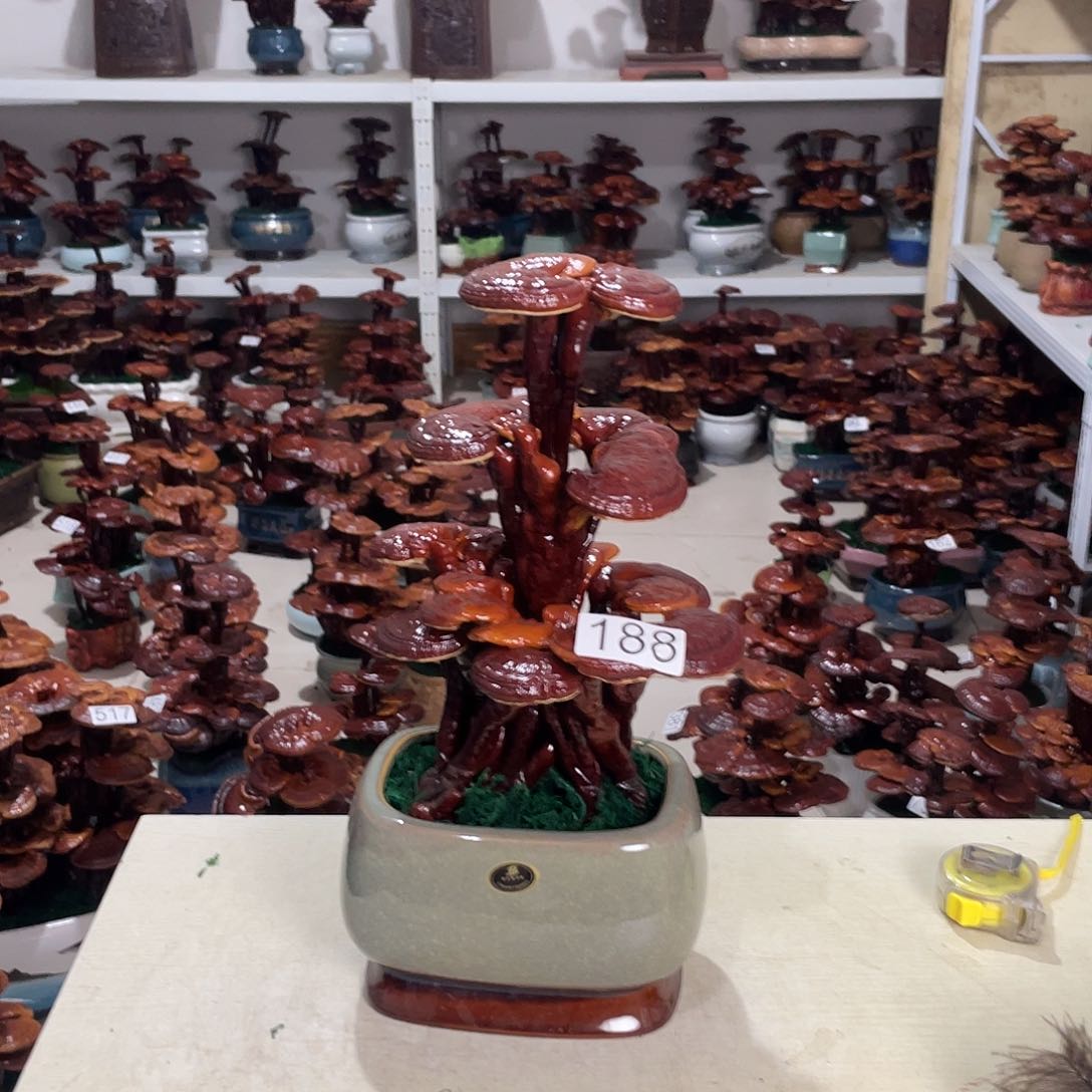 隔**玩18888888888888888888