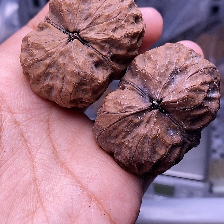 文玩核桃把件   236