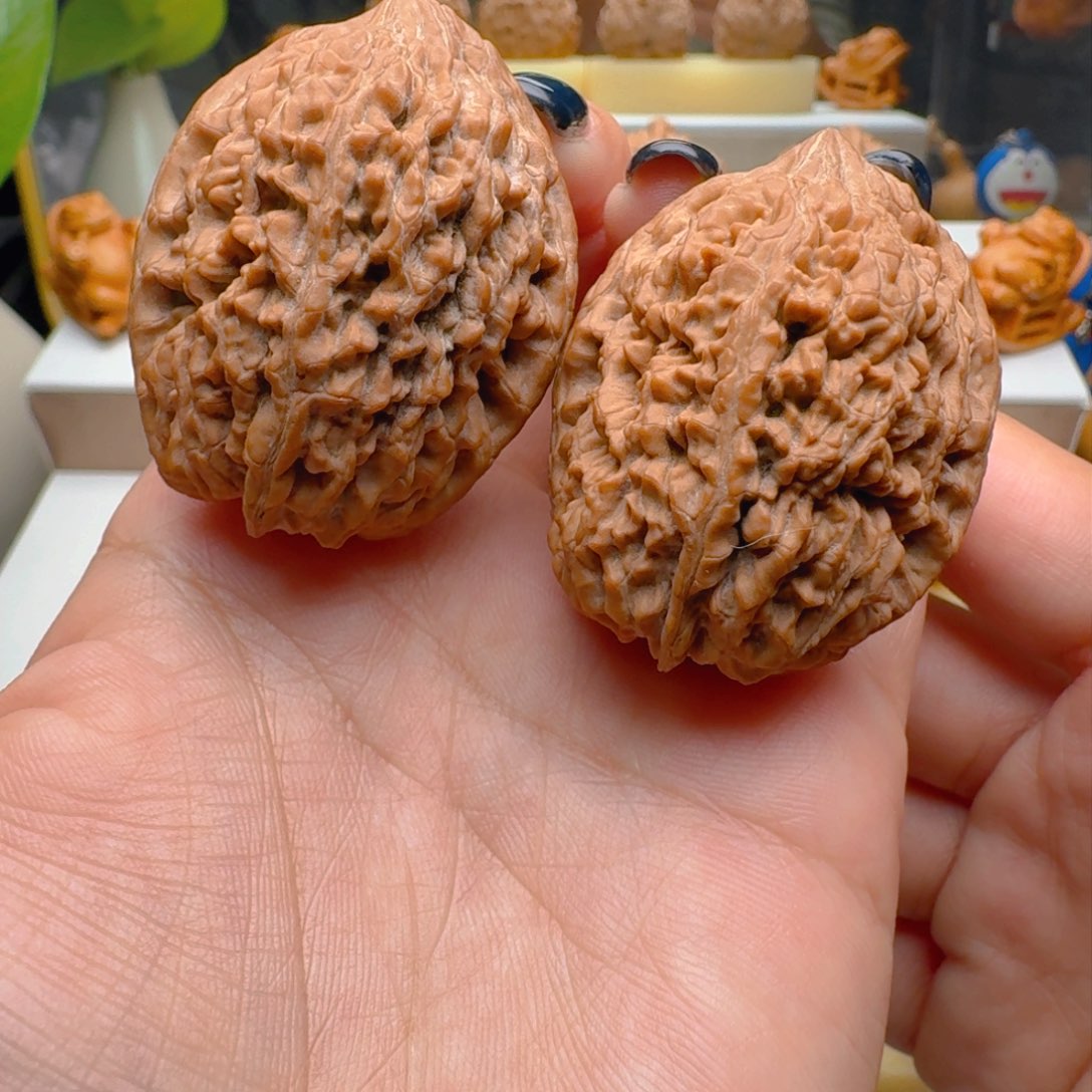 把件核桃38肚子大蒜头