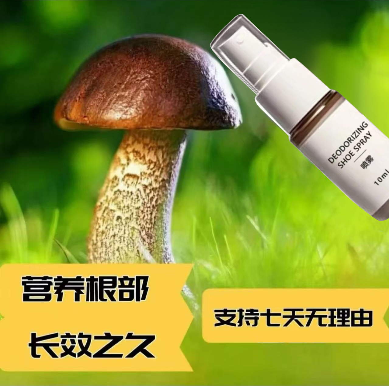 【升级加强版】植物根茎茁壮萃取营养液 