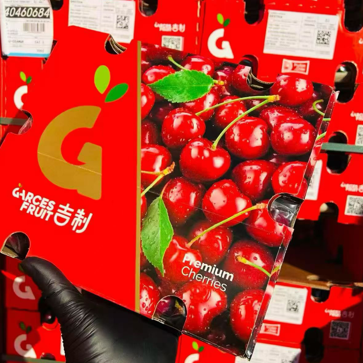 海运吉制桑提娜车厘子2J一箱5斤智利