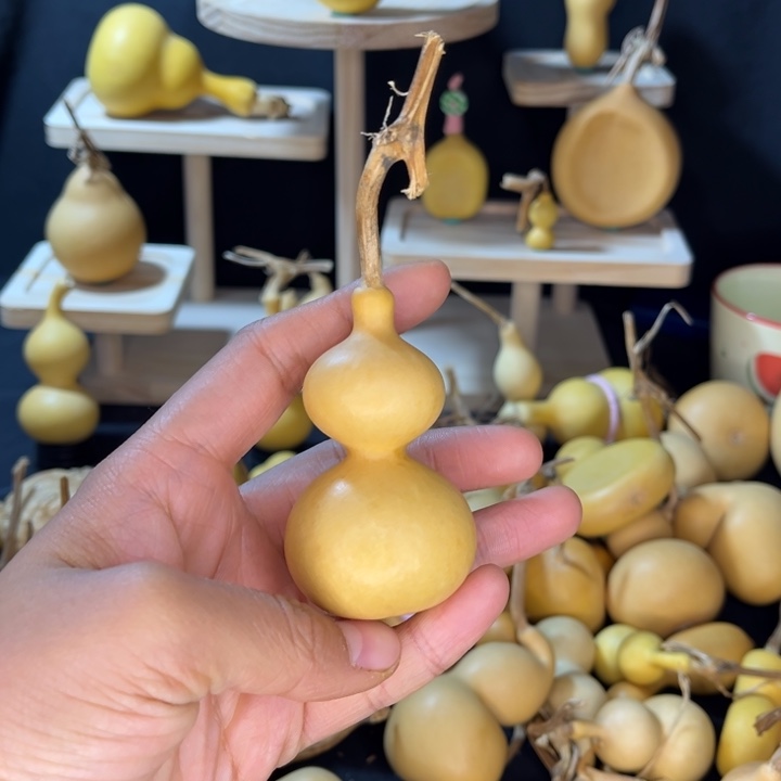 葫芦葫芦葫芦葫芦葫芦