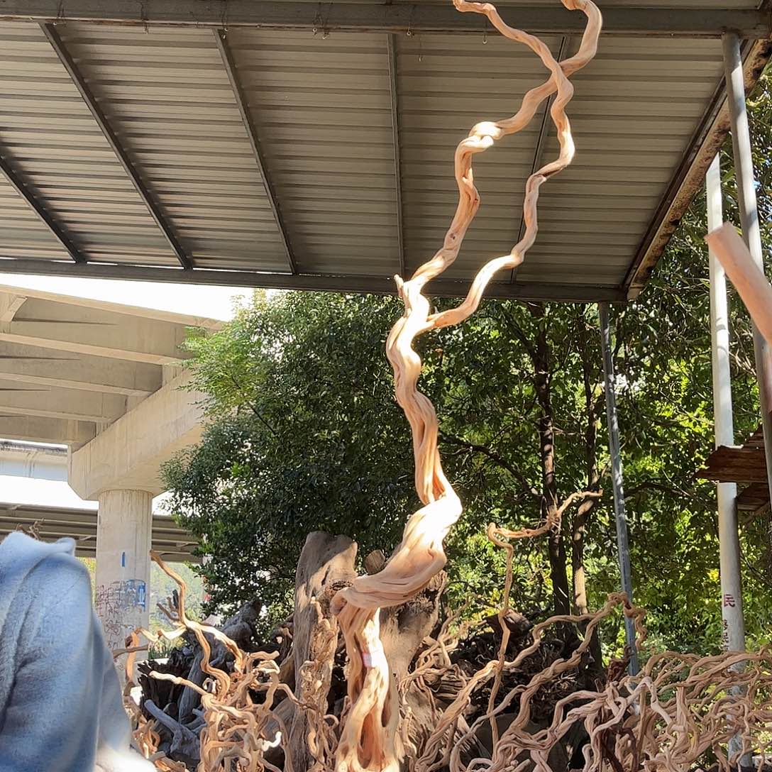 陆***垚木我是一只小小鸟